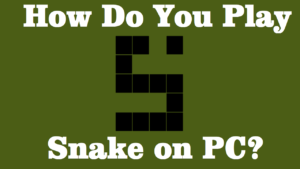 How do you play Snake on PC