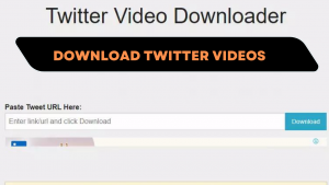 download twitter videos