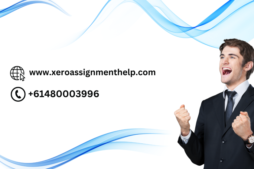 xero assignment help