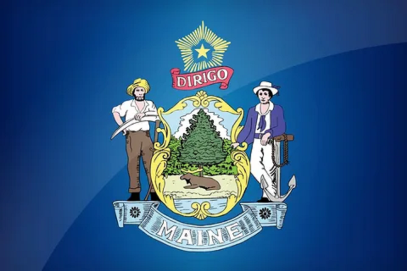 Is Maine's State Flag Unique Compared To Other State Flags