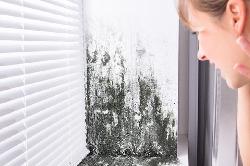 What Is The Role Of HVAC Systems In Preventing Mold Growth