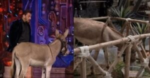 Bigg Boss 18 Evicts Donkey Gadhraj Following Pressure from Animal Welfare Groups